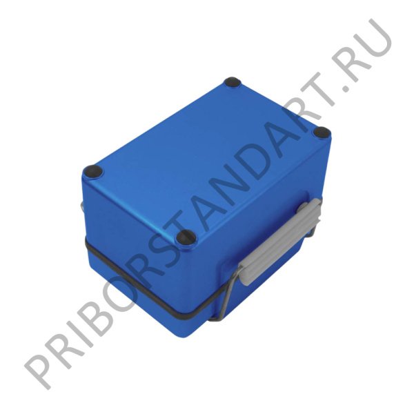 ПрофКиП ЦС0202/4Г Мегаомметр (250В)